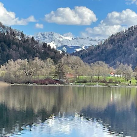 Ferienwohnungen Mews Immenstadt im Allgaeu Luaran gambar